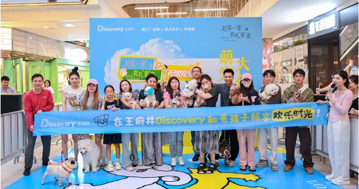 成都918博天堂官方网站Discovery